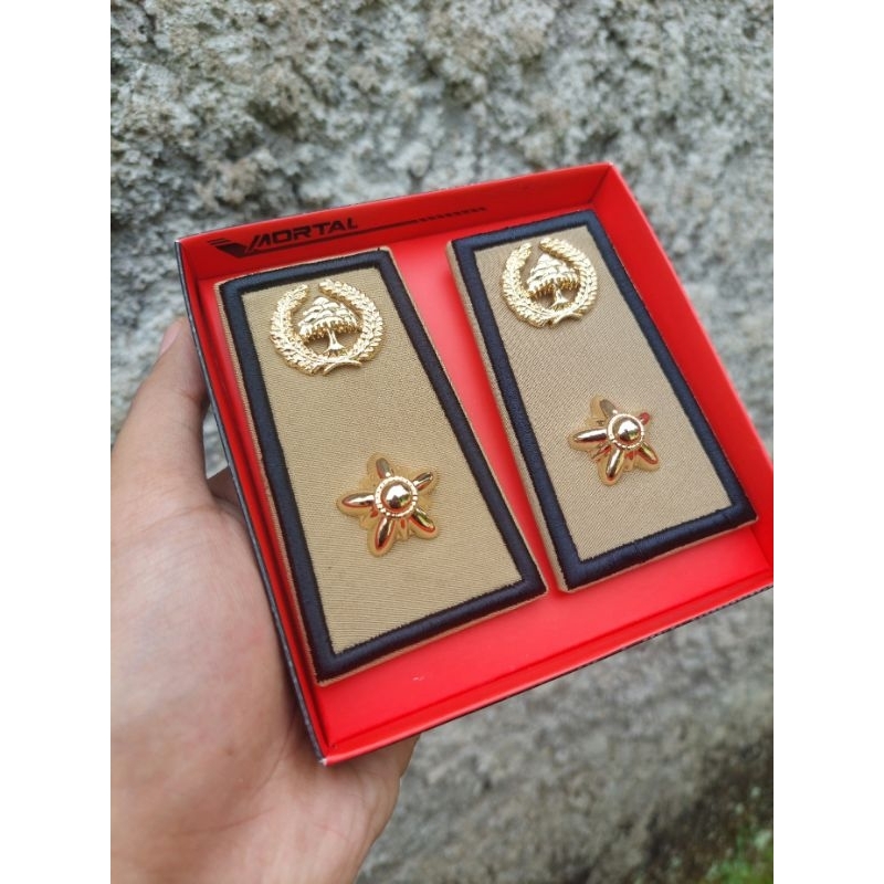 PANGKAT ASN BENGKULU LAMPUNG 4A | PANGKAT ASN 4A BENGKULU LAMPUNG