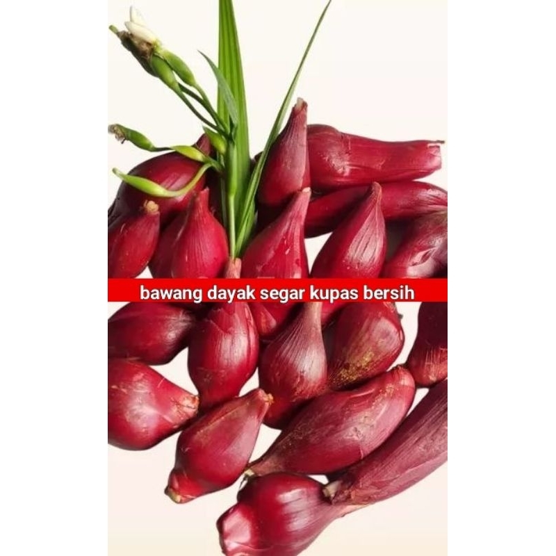

bawang dayak bersih kupas