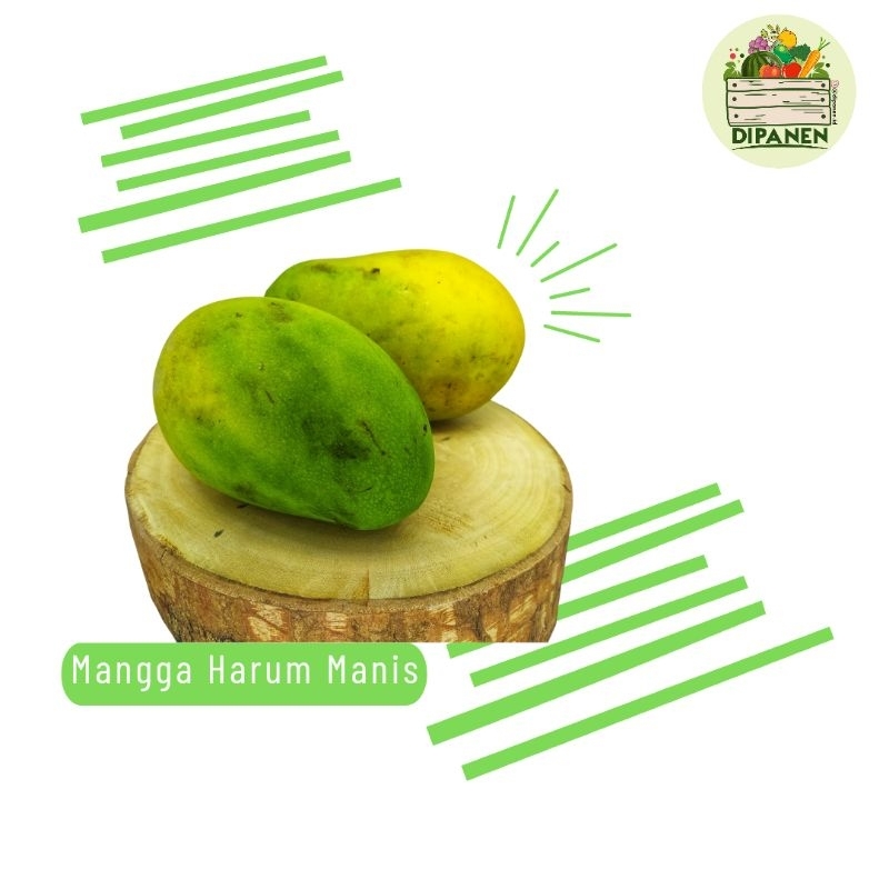 

Mangga Harum Manis 1 Kg