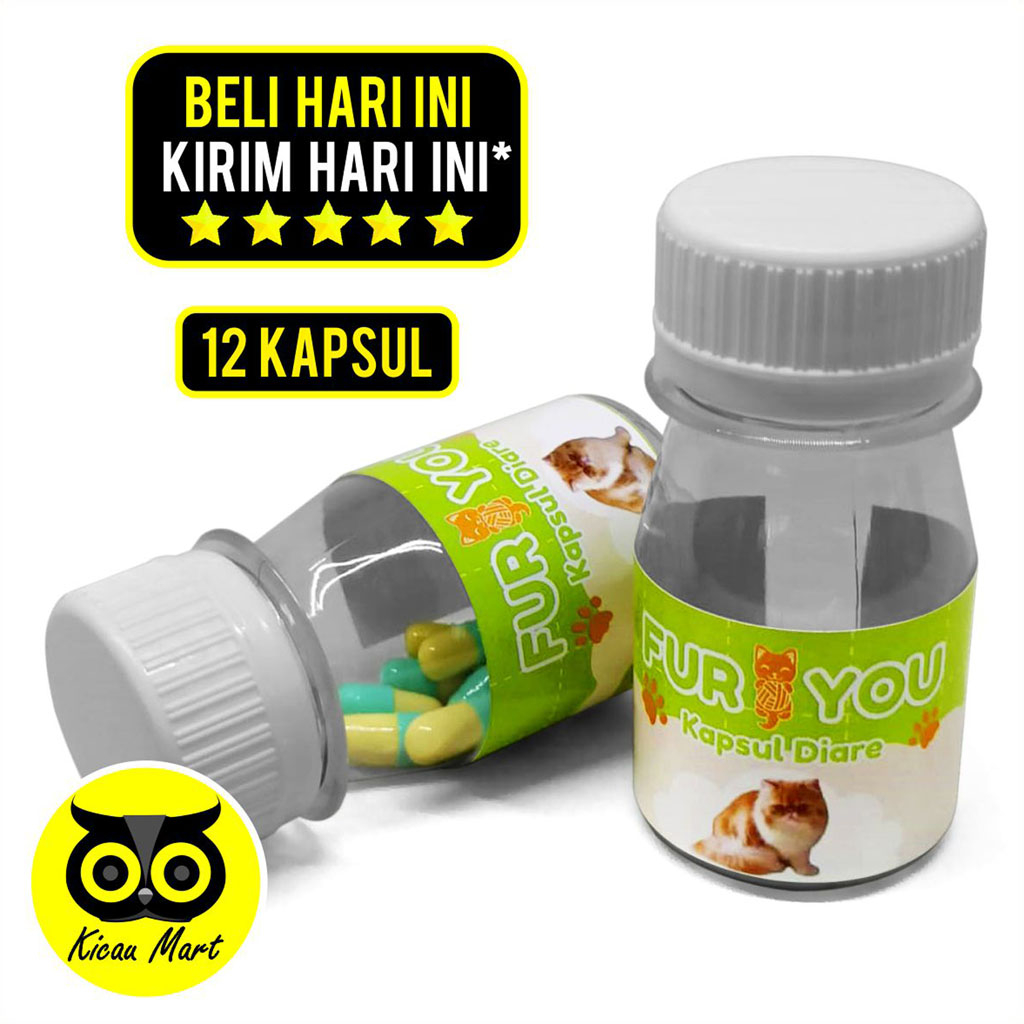 Obat Kucing Mencret Fur You Kapsul Diare Akut Kemasan Light Green Obat Mencret Sakit Perut Kembung Mules Paten Ampuh For Cat Kitten Adult Anabul