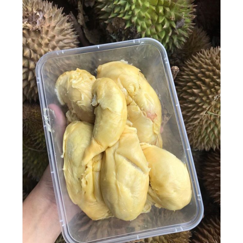 

Durian Montong Beku/Freezer