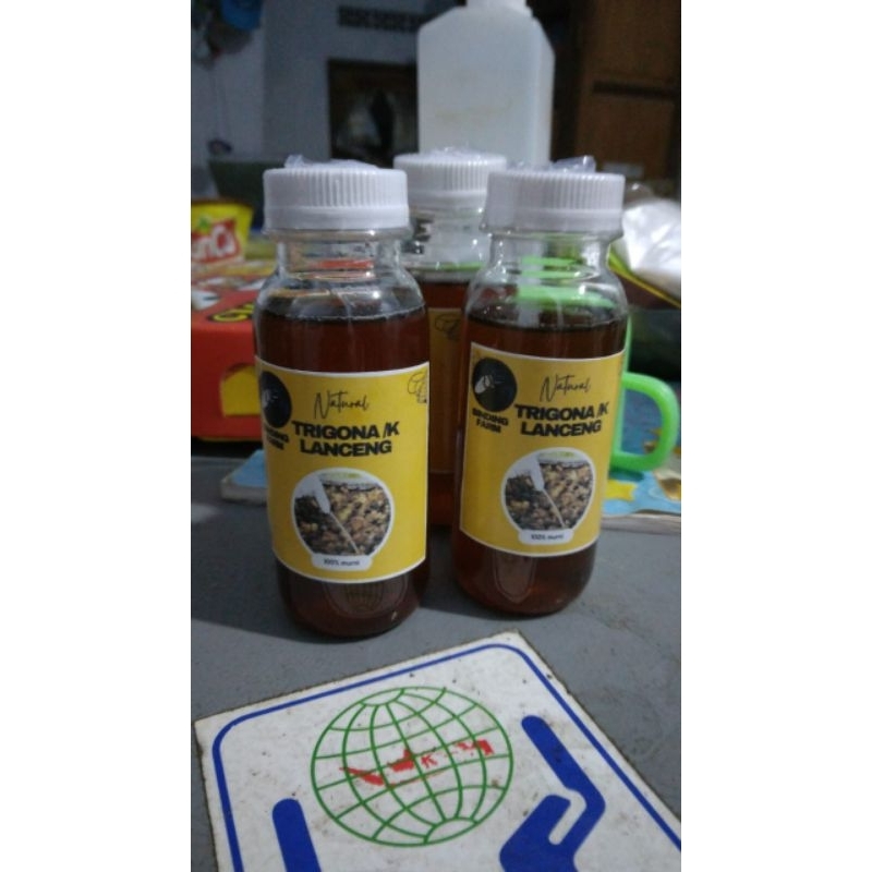 

madu klanceng/ lanceng / trigona / teuweul / kelanceng / murni asli 100%