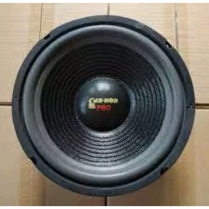 speaker Canon 10 inch wofer