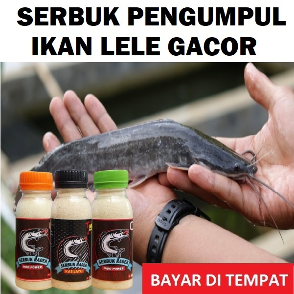 SERBUK PENGUMPUL IKAN LELE SIAP PAKAI PALING GACOR