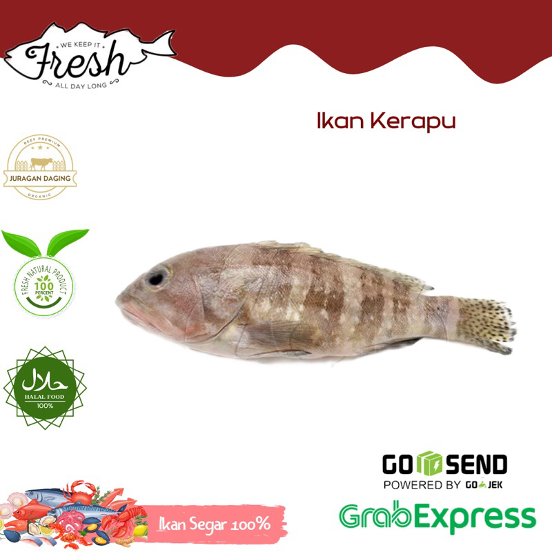 

IKAN KERAPU FRESH 1kg