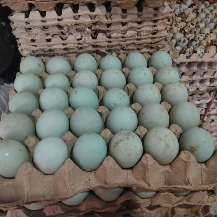 

telur bebek super 30pc