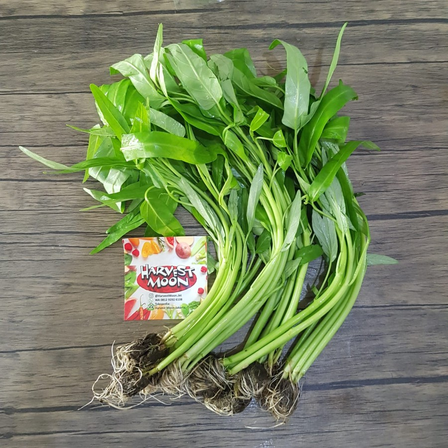

HarvestMoon Hidroponik Kangkung @250gr
