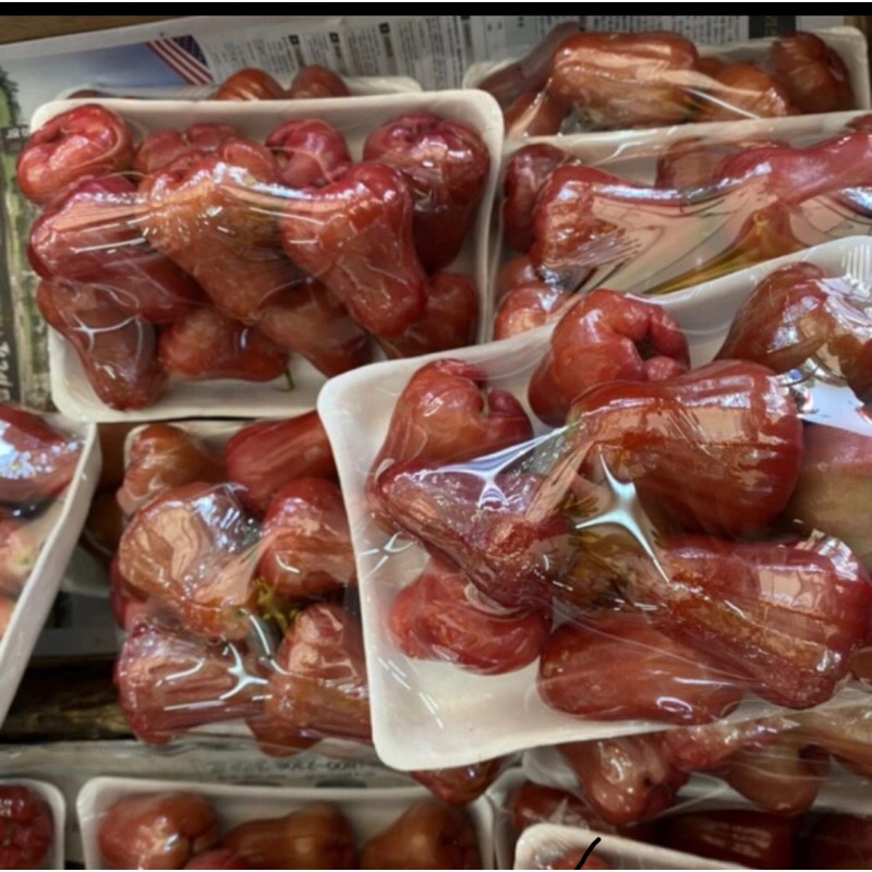 

Jambu Air Merah Citra Manis Fresh 1 Kg