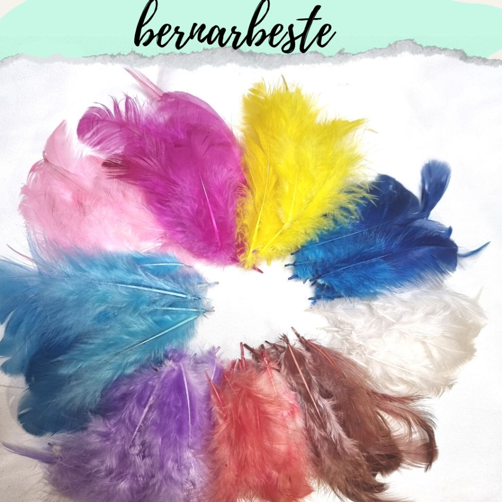 TERMURAH|PROMO SPESIAL|Bulu ayam Hias Warna warni - Bulu ayam warna warni - PutihBulu Ayam Warna-war