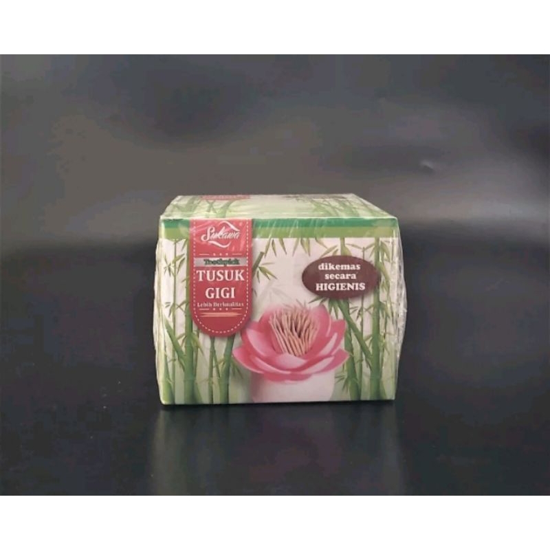 Tusuk gigi higienis