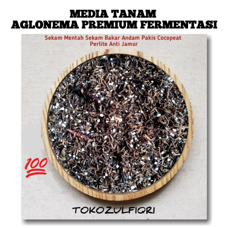 Media Tanam Aglonema Premium Fermentasi Siap Pakai
