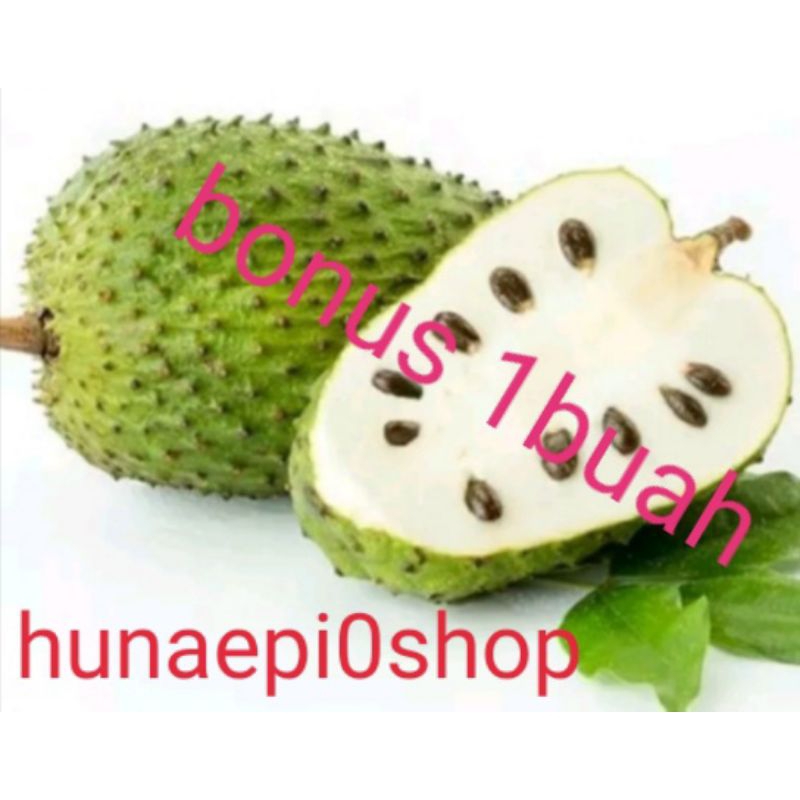 

sirsak/nangka walanda