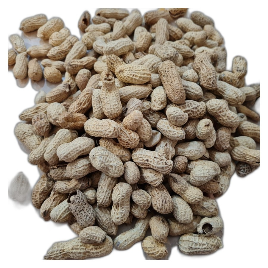 

Rjp kacang kulit asin 2kg