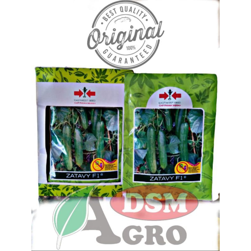 benih timun zatavy 20gr