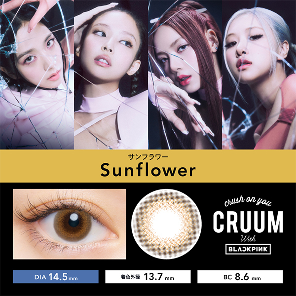 CRUUM CRUSH ON YOU BLACKPINK JAPAN SUNFLOWER COKLAT BROWN JEPANG CONTACT LENS SOFTLENS PC PHOTOCARD 