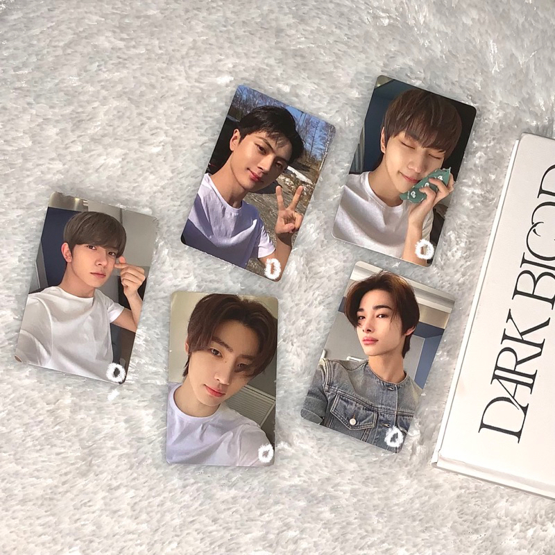 Enhypen Photocard Official Dark Blood Showcase Regular db pob preorder benefit ready pc off jungwon 