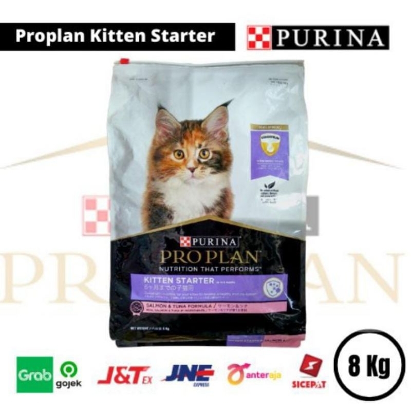 Proplan kitten 7kg makanan anak kucing proplan