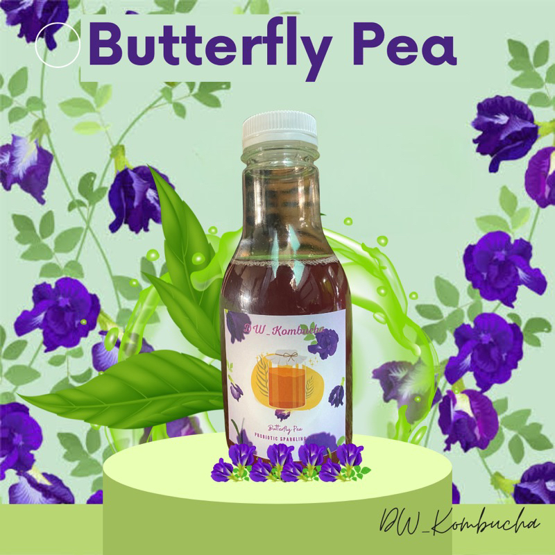 

DW Kombucha, Butterfly Pea Flower Kombucha - 250 ml