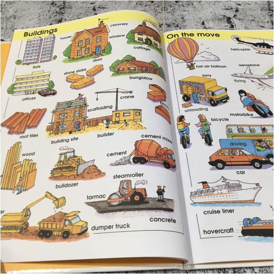 BUKU ANAK - YOUNG LEARNERS PICTURE DICTIONARY
