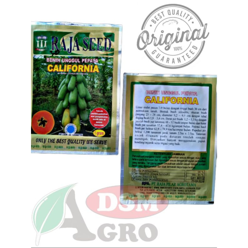 benih pepaya kalifornia