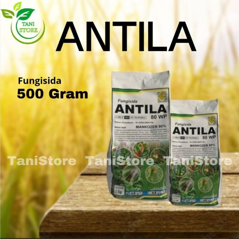 ANTILA 80WP_MANKOZEB 80%_Bercak ungu/Antraknosa/Busuk buah/Busuk daun/Hawar daun_Fungisida