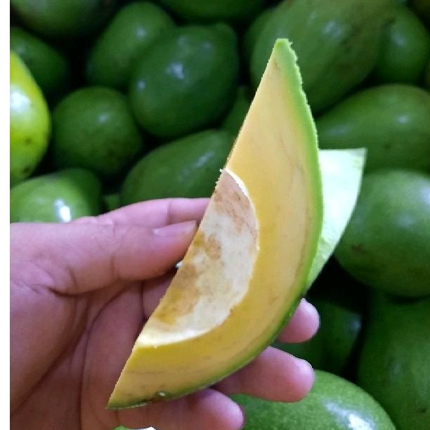 

Alpukat Mentega Super/ 300gr/600gr/1kg