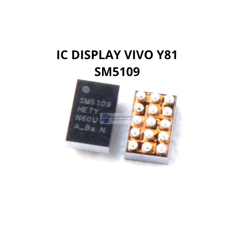 IC DISPLAY VIVO Y81 SM5109
