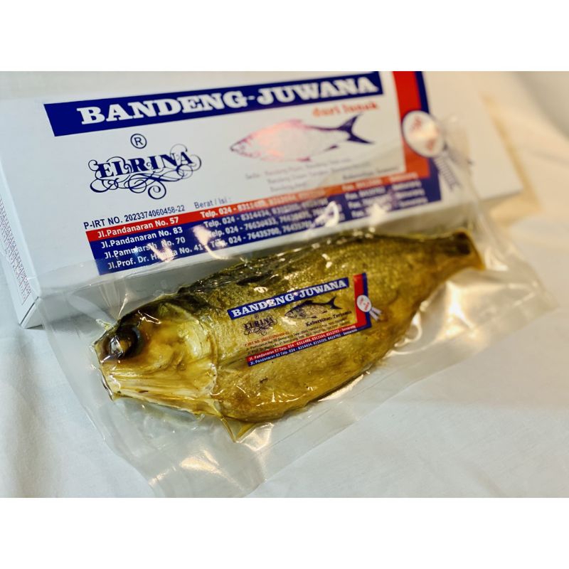 

BANDENG PESTO JUWANA-ELRINA VACUM SPESIAL (TAHAN25HARI)