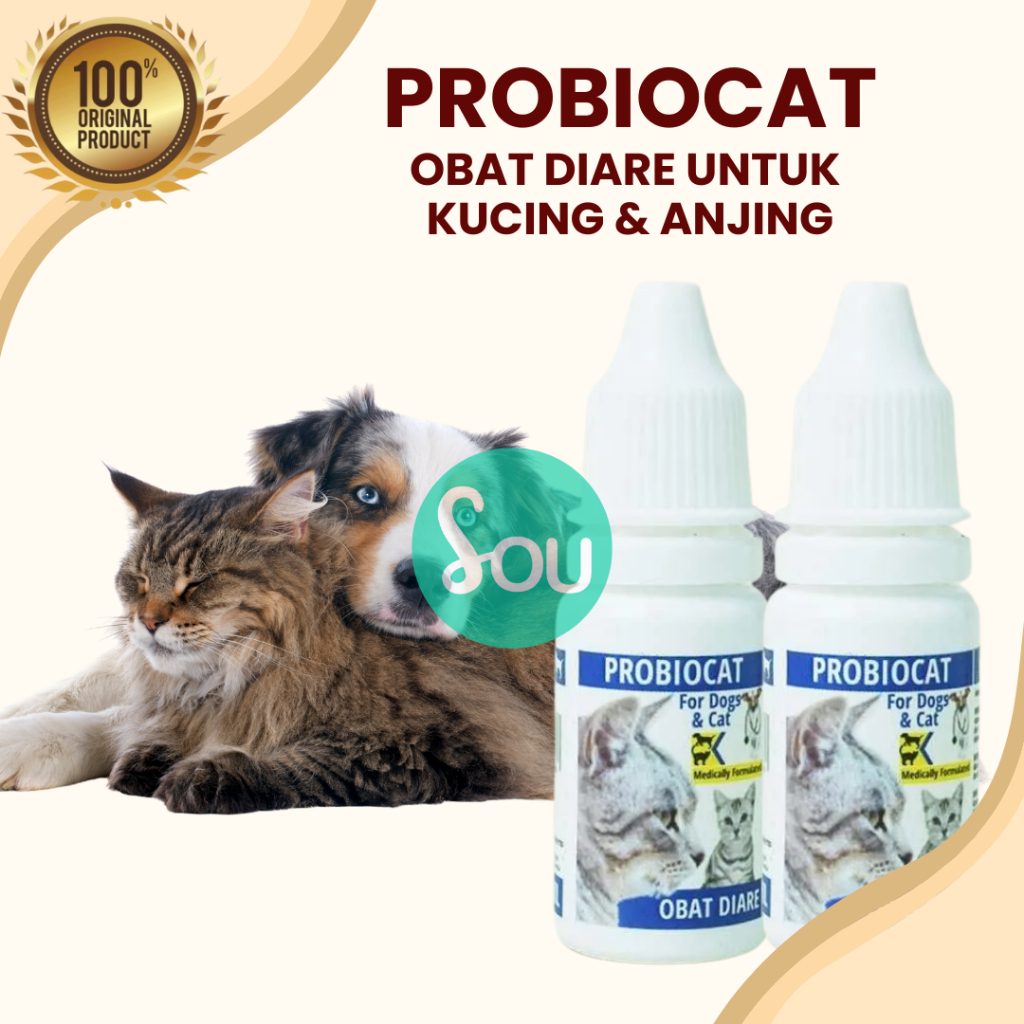 Obat Kucing Mencret Diare Gangguan Pencernaan Priobiocat Obat Diare Vitamin Pencernaan Anti Mencret