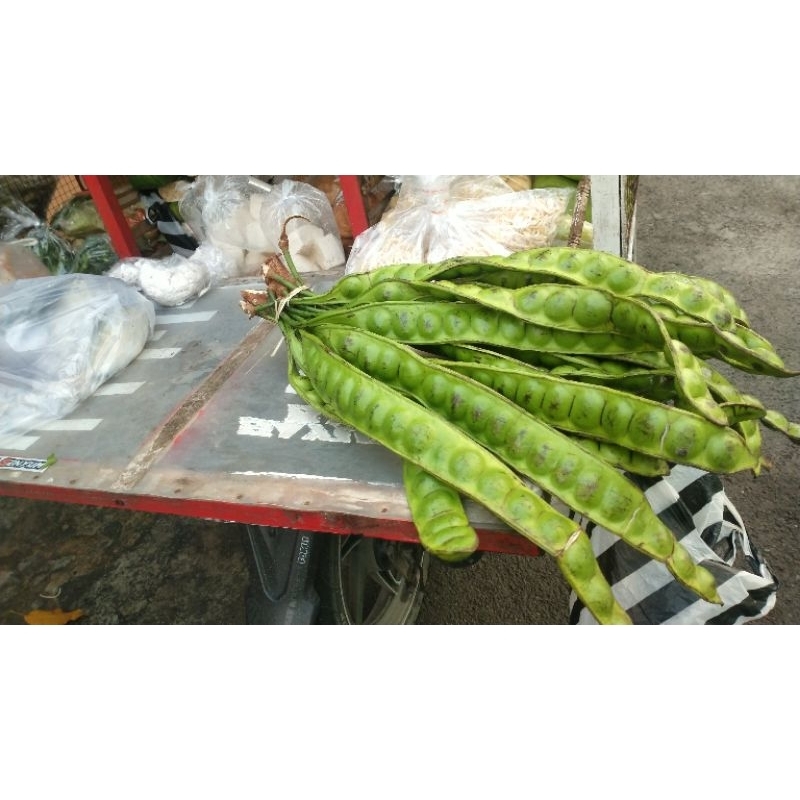 

pete pari dan pete gobang