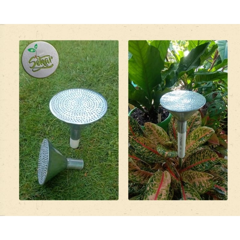 Cepor / Shower tanaman murah