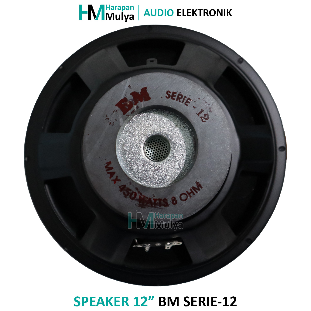 Speaker Subwoofer 12" / 12 inch BM SERIE-12 Double Magnet