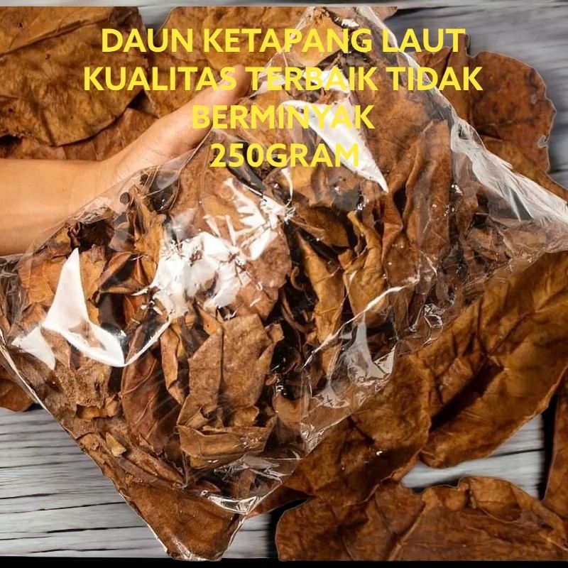 Daun ketapang olahan 100gram/ Daun ketapang laut/ daun ketapang super pekat