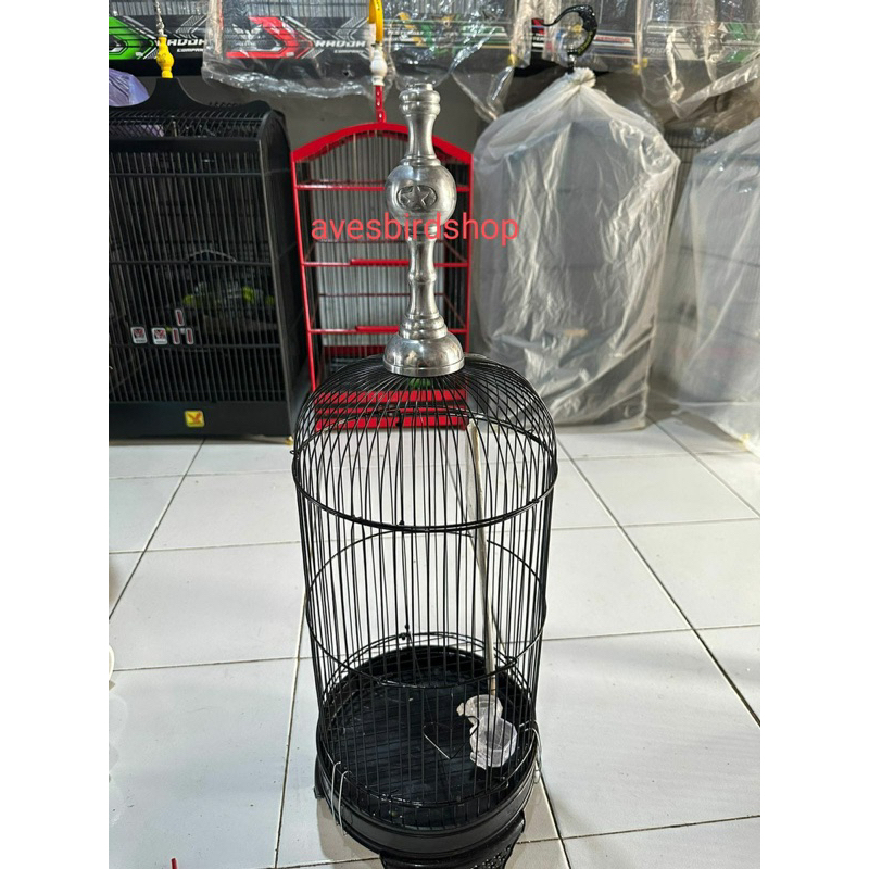 pion stenlis pleci kandang helopet