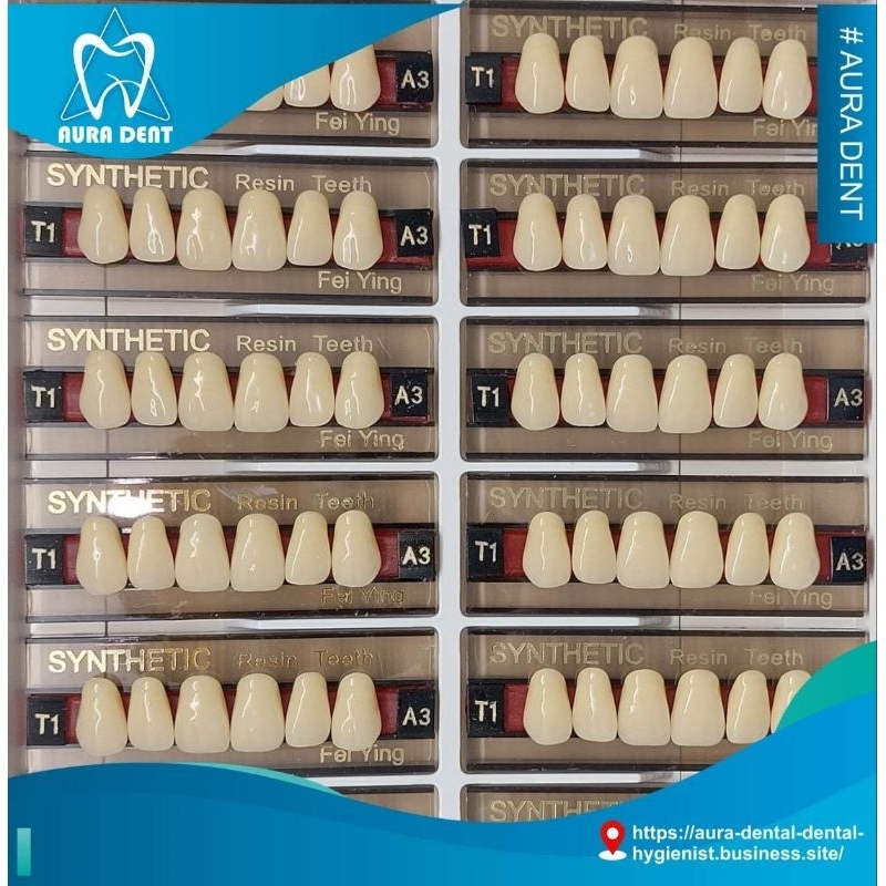 Gigi Synthetic YP Dental Resin Teeth Anterior Depan Atas per Box