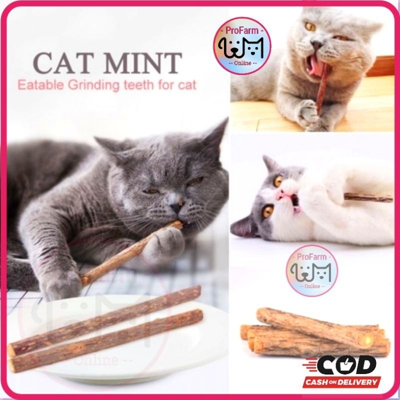 GPSS- Stick Snack Kucing Natural Catnip Berbau Aromatic Catmint Anti Stress Mainan Kucing Anti Stress Natural Catnip Alami Cat Toys Catnip Stick Kucing Stick Catnip Kucing