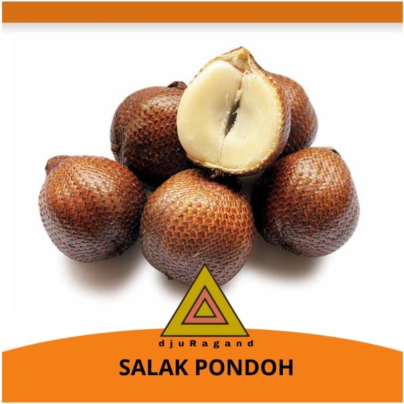 

Salak pondoh 500gram