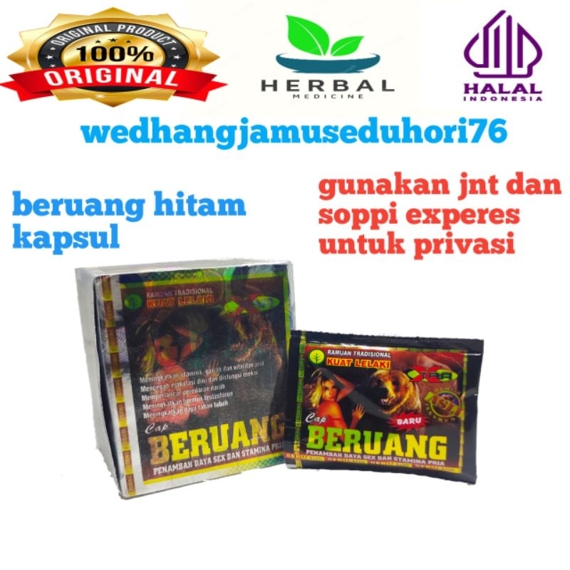 beruang hitam kapsul