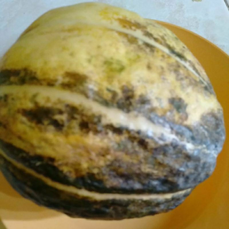 

Buah Blewa Blewah segar