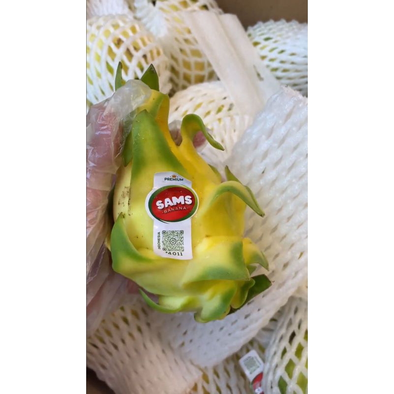 

Buah Naga Kuning Premium