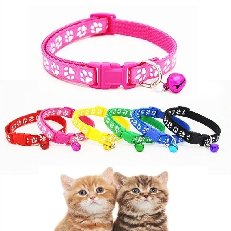 KALUNG KUCING ANJING LONCENG