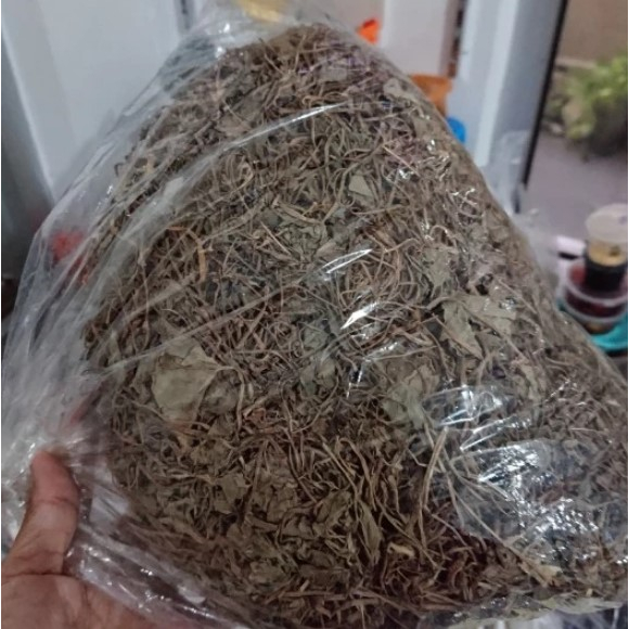 

Daun pegagan kering / Daun antanan kering herbal kesehatan tubuh