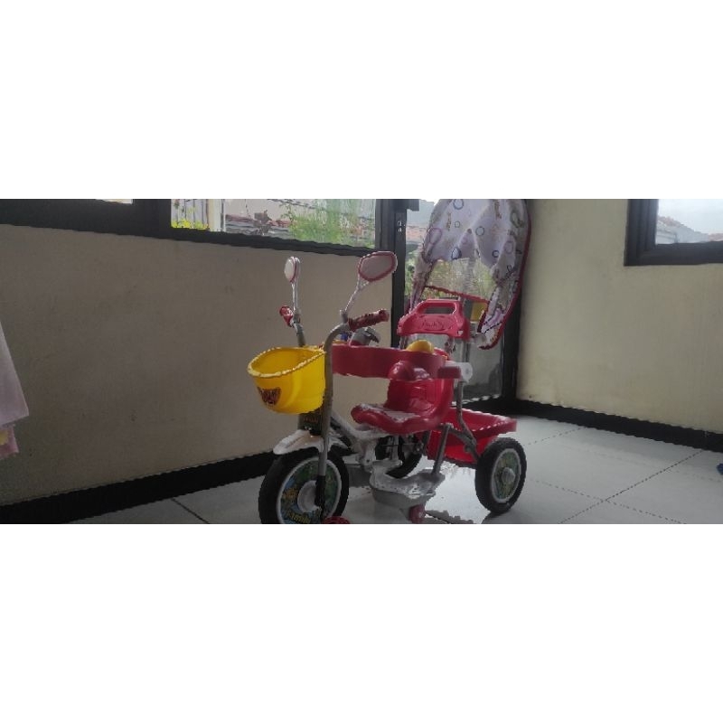 Sepeda anak family