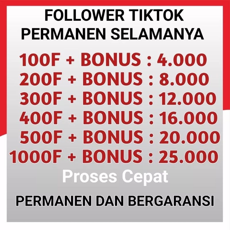 Followers Tiktok permanen