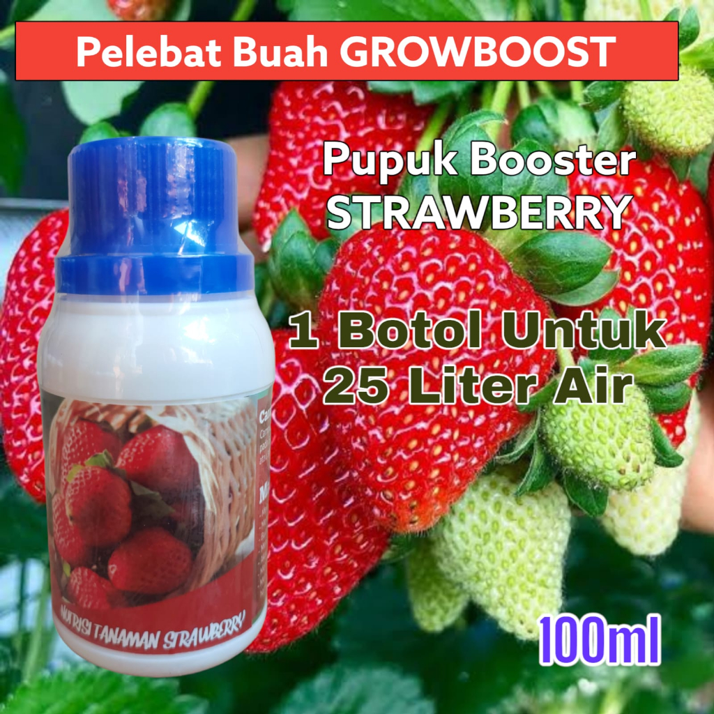 Pupuk Buah Strawberry Premium Organik GrowBoost Buah Strawberry 100ml