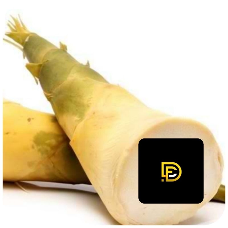 

Rebung bambu kuning 500 gram fresh-az