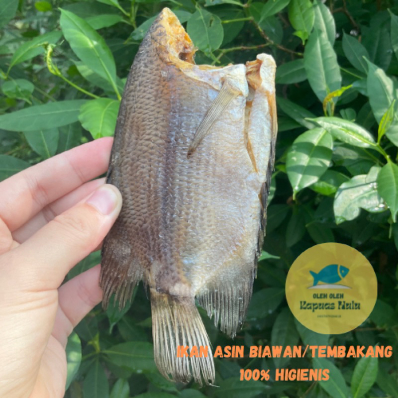 

Ikan Asin Biawan 100 gr Fresh dan Higienis (Ikan Asin Tembakang) Kapuas Hulu