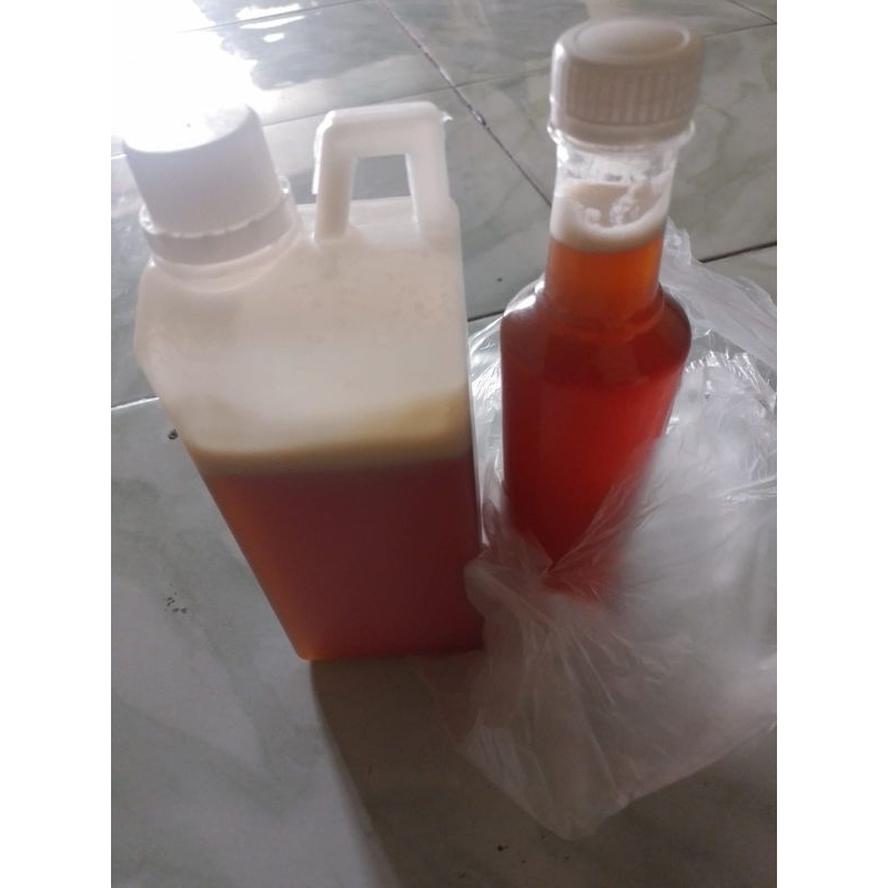 

madu sialang jambi asli