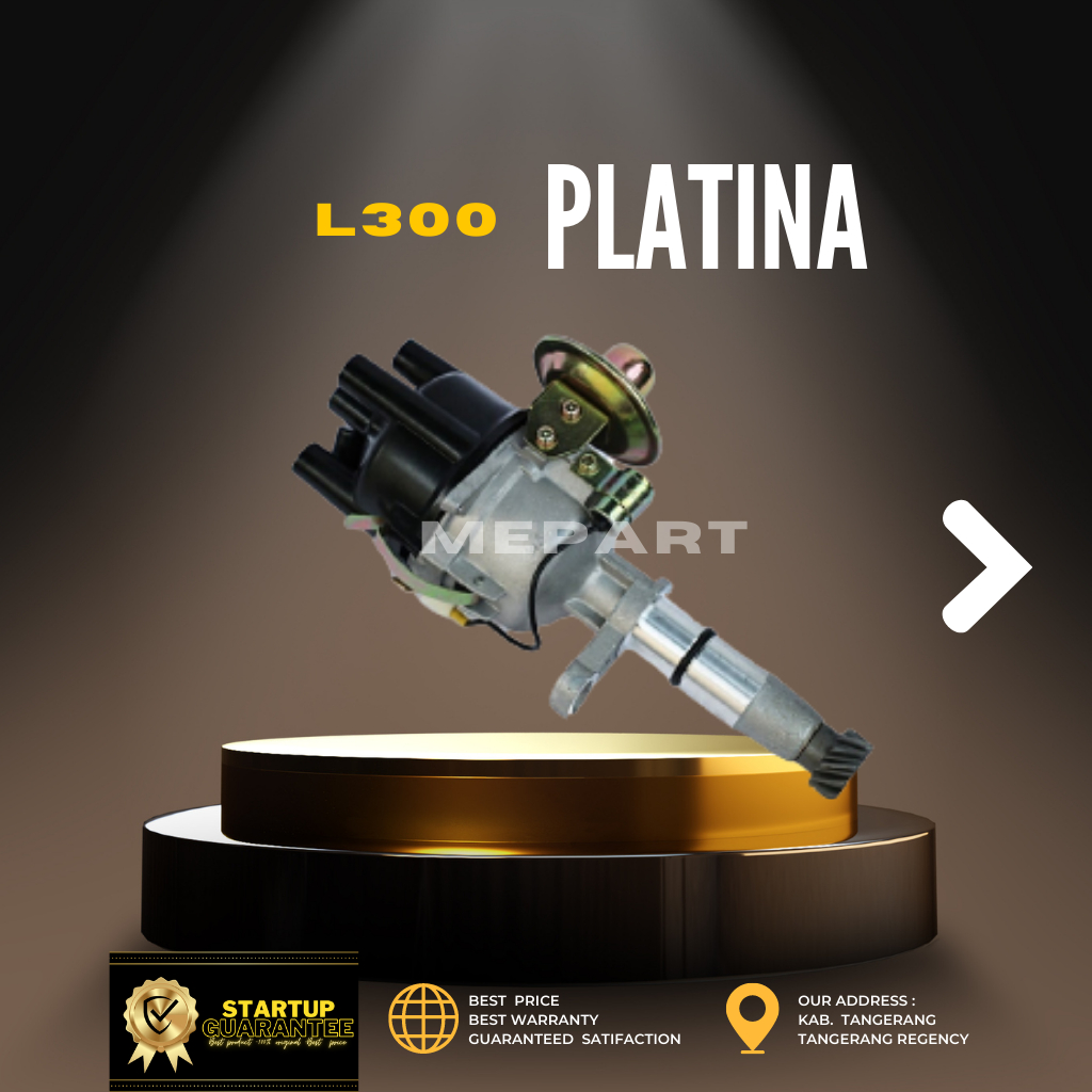 L300 PLATINA