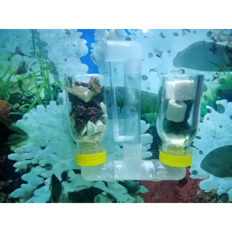 BIO SPONGE FILTER DAN AIR LIFT FILTER MEDIA PENJERNIH AIR AQUARIUM CANTIK